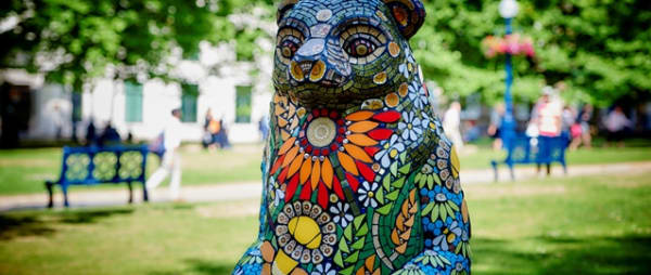 The Big Sleuth Auction Hot Contenders Revealed!